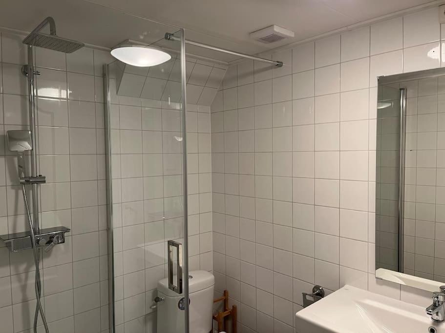 Appartement Centrum Leeuwarden Bagian luar foto